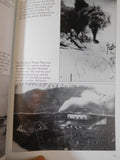 Images of Rail Virginia Creeper In Ashe County By Ashe County Historical Society