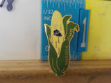 Jaycees Nebraska Ear Of Yellow Corn In Green Husks Senate  PIN