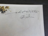 FRISCO Annual Report 1974 St. Louis San Francisco Railway Company Soft Cover