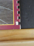 North American Street Railways at Mid-Century a color survey by Allan H Berner