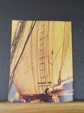 Gazela Primeiro, The Ship’s Data   Soft Cover
