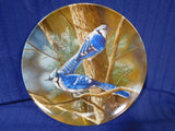 Plate Encyclopedia Britannica Birds of our Garden Collection The Blue Jay p0061