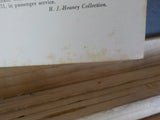 Boll Weevil Recollections of the Trinity & Brazos Valley Railway by J.L. Allhand