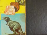 How and Why Wonder Book of Trains and Railroads    Soft Cover