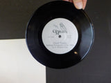 Ghost Trains by O. Winston Link Includes the Record +  Photo Information from O.