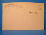 Postcard Graham County 1923 Bear Creek Junction 1969