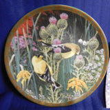 Plate Melodies in the Mist Feeding Time by Alan Sakhavarz