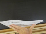 Chesapeake & Ohio C&O Side Track Record/Charts Hampton Newport News Terminal Pen