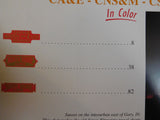 Insull Chicago Interurbans CA&E - CNS&M - CSS&SB in color Lloyd Morning Sun Book