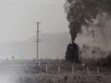Such Sweet Thunder The Lodestar Press of New Zealand Soft Cover