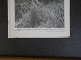 Train Dispatcher 1973 March RRA Wives Annuities pg 53