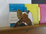 Jaycees South Dakota RIng neck pheasant in flight