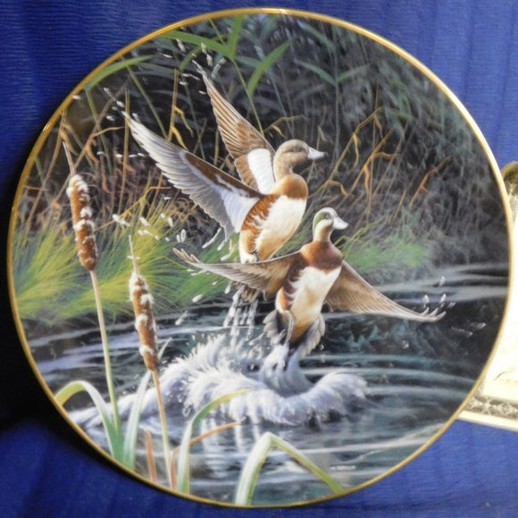 Plate Free as the Wind Ascent by Michael Budden