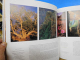 Grand Canyon The Vault of Heaven by Susan Lamb Dust Jacket 1998 72 Pages