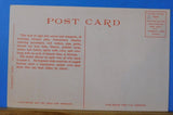 Postcard California Limited on the desert card #5512. This land of sage and cact