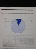 Maine Integrated Freight Plan Final Report prepared by Cambridge Systematics Inc
