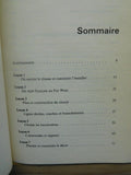 Les Trains Miniatures En 10 Lecons by Puiboube Trains Miniatures in 10 lessons