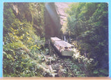 Postcard Scenic Railway Blue Mountains Australia #201