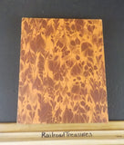 Kinsey Photographer Box Set of 2 Books Family & Early works Magnificet years