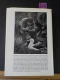 Hunting with a Camera by Erwin A Bauer Guide to wildlife photography w/ DJ