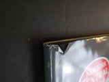 New York Central System Lightning Stripes DJ 1990 Morning Sun Books