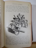 Standard Examination Questions and Answers for Locomotive Firemen Wallace 1912