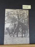 Douglas Corporation Horse Trams The First 100 Years By Harry Constantine Soft Co
