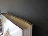 Railroads of Arizona Vol 3 Clifton, Morenci and Metcalf Rails and Copper Mines A