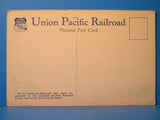 Postcard Deer in Kaibab National Forest Via Union Pacific Railroad Cedar City Ut