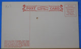 Postcard The Lone Pine Clear Creek Canon Colo. On the C&S RY