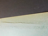 Baltimore & Ohio Railroad Company Annual Report 1899 73rd annual June 30 1899