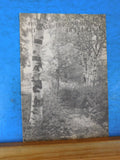 Delaware and Hudson Company Bulletin 1932 January 15 Employee