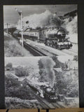 N.E.L.P.G. News #105 1985 February No.105