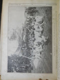 Russo-Japanese War gathered from the reports, records cable despatches photos