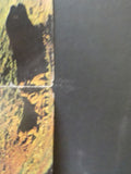 Colorado Rocky Mountain West 1976 July/Aug Vol XII 1 Colorful Centennial Edition
