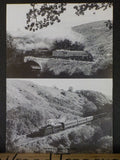 N.E.L.P.G. News #175 1996 October No.175 North Eastern Locomotive Preservation G