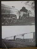 N.E.L.P.G. News #117 1987 February No.117 Special Load 9x43 Blue Peter and Bitte