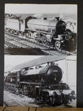 N.E.L.P.G. News #173 1996 June No.173 North Eastern Locomotive Preservation Grou