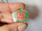 Railroad Pin Canadian National Railways