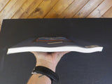 Moonlight in Duneland by Cohen & McShane CSS&SB illustrated history SC  Oversize