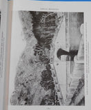Great Bridges From Ancient Times to the Twentieth Century by Wilbur J. Watson