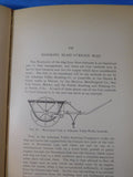 Notes on Lead and Copper Smelting by Hiram Hixon 1908 Hard Cover