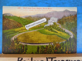 Postcard Wolf Creek Loop, Oregon Shasta Route.Card #3200 Southern Pacific