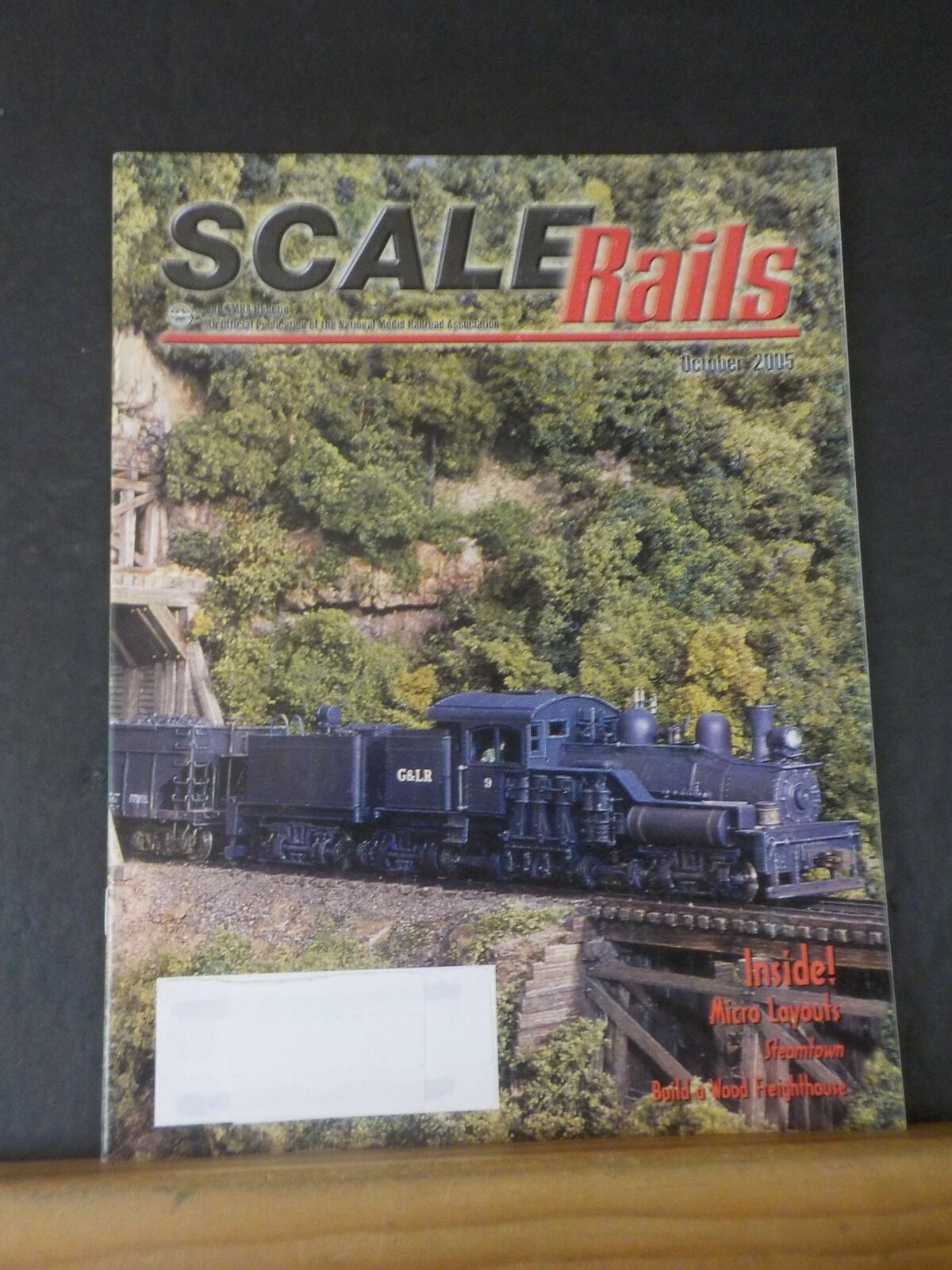 Scale Side Rails Scale Rails NMRA 2005 October Micro Layouts Build a wood freighthouse ...