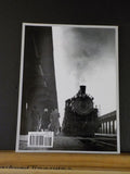 Chicago's Steam Suburbans Photos from Roy Campbell Collection by Thomas Burg