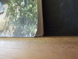 Great Model Railroads 1999 B&M B&O Eire Layouts tips ideas