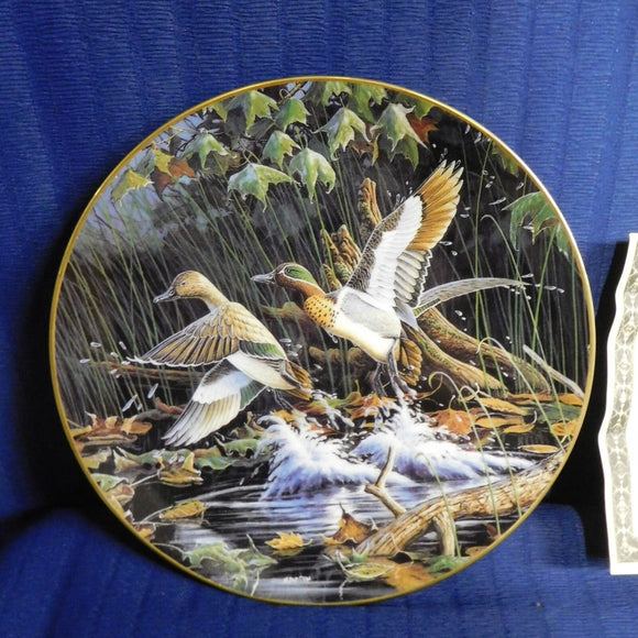 Plate Free as the Wind Flight by Michael Budden