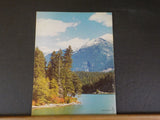British Columbia Railway Annual Report 1977 Pocket facts card Financials