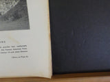 Railroad Employee, The 1932 February V41 #11 New York Express Erie Railroad Syst