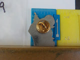 Jaycees Texas Snoopy With Texas Flag 1981  Kids  PIN